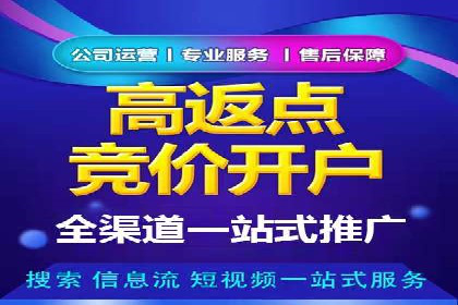 某行业sem竞价托管成功案例：精准投放的秘诀